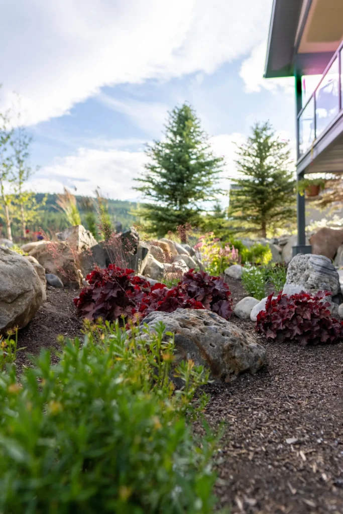 Layered perennial planting among natural boulders