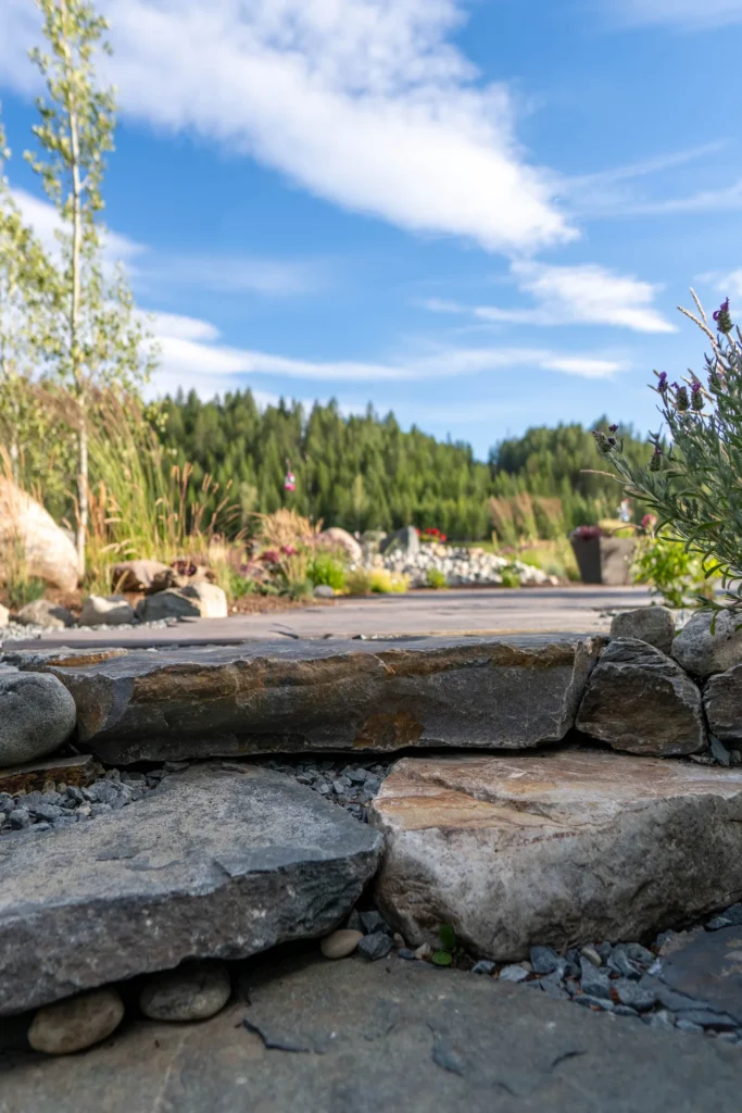 Stone pathway edge with flowering perennials and grasses