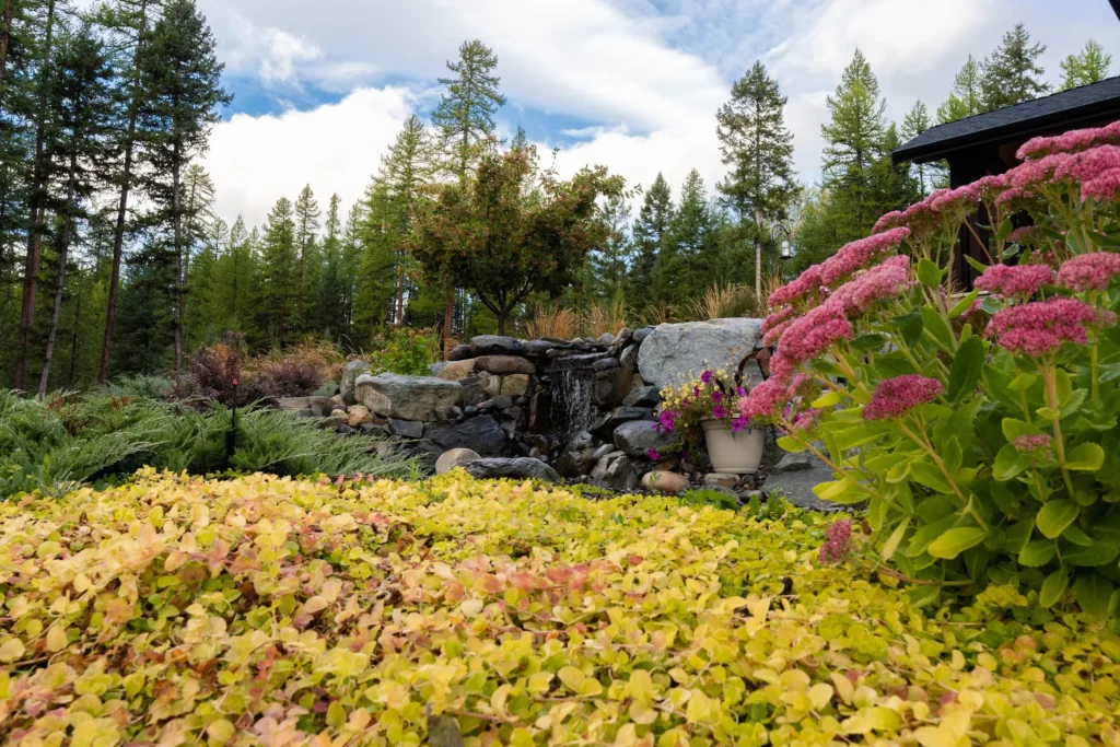 Water feature centered within flowering groundcover and forest