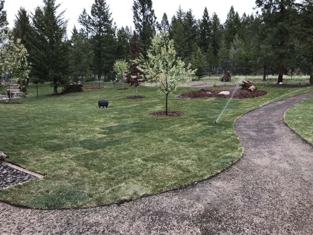 Curving garden path connecting newly planted lawn islands