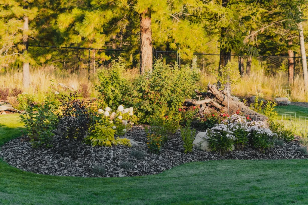 Planted island with layered shrubs, flowers, and a feature tree
