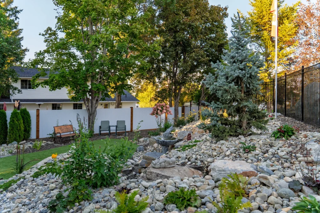 Side yard rock garden with mature trees, blue spruce, and turf edging