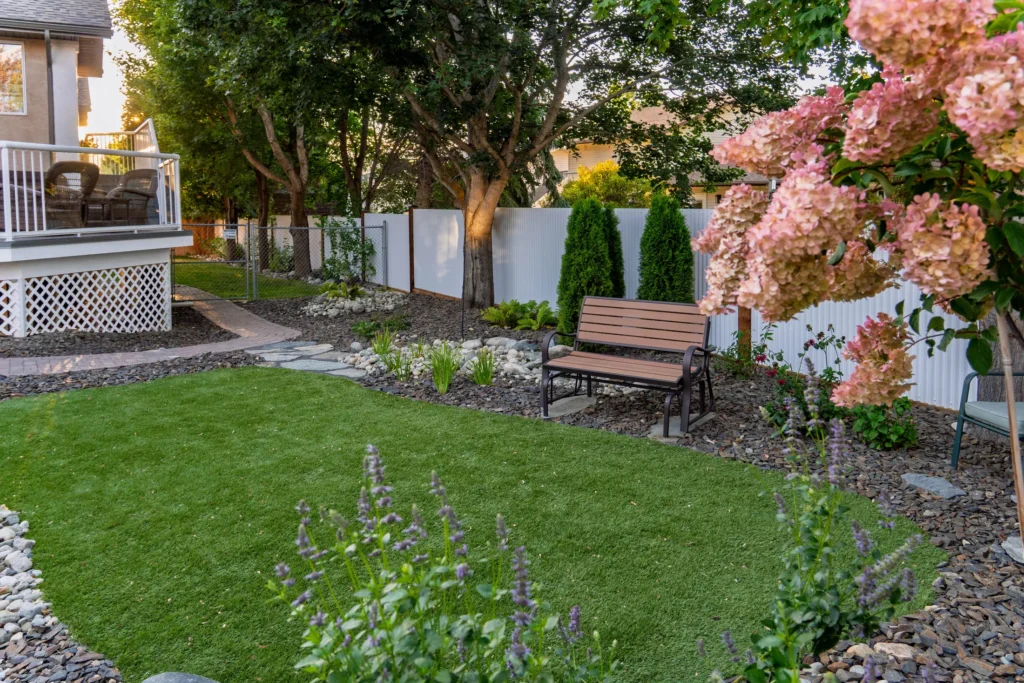 Garden bench on the turf lawn framed by a flowering hydrangea tree